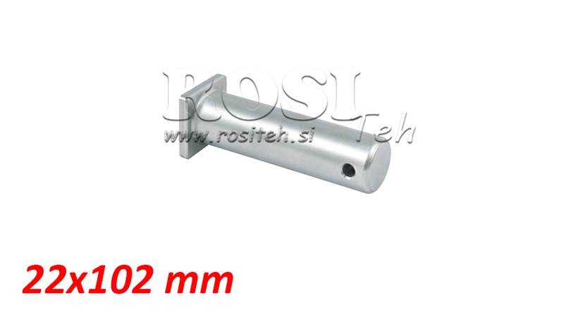 BOLT CU CAP SI GAURA 22X100