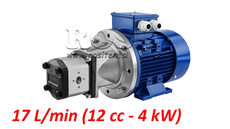 HYDRAULIC PUMP ASSEMBLY GR.2 12 CCM + ELECTRIC MOTOR 3-PHASE - 4 KW (FLOW = 17 LIT/MIN)