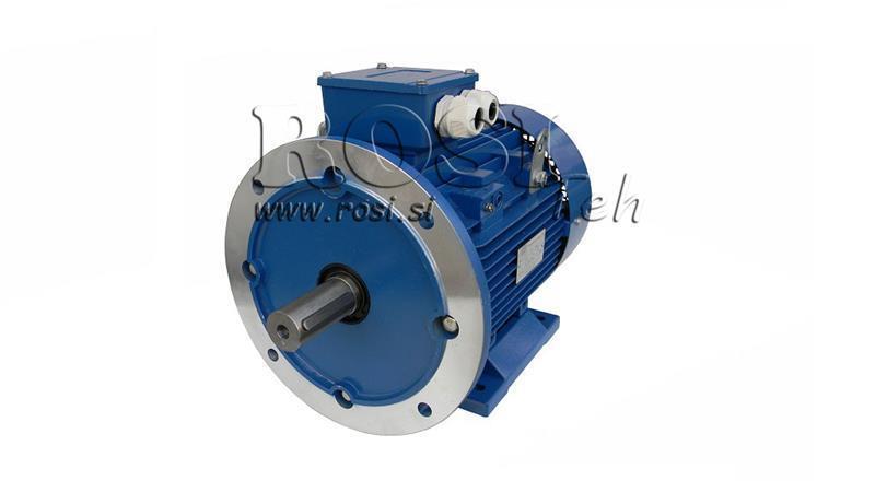 MOTOR ELECTRIC 2P B3B5 3F