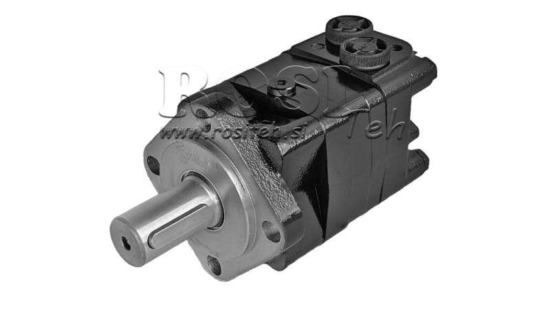MOTOR HIDRAULIC MS 100 ECO (ALSG3-100)