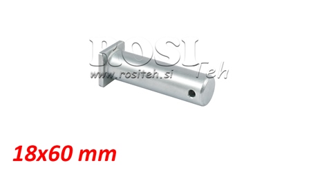 BOLT CU CAP SI GAURA 18X65