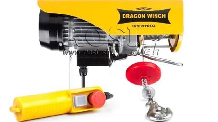 WINCH ELECTRIC 230 V DWI 125/250 kg