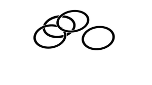 CONECTORI-MONTARE-NZ