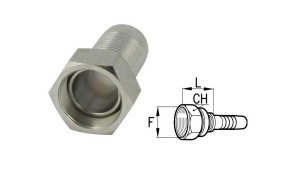 CONEXIUNI-FEMELĂ-BSP