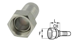 CONEXIUNE-FEMEIE-JIC74°