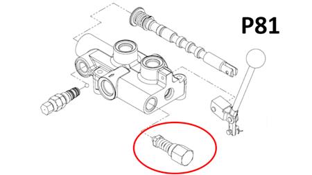 VALVĂ DE DECOMPRIMARE PENTRU P81
